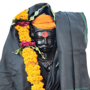 Donate to Shani Dev Online. Shani Dev online Donation